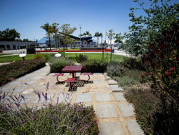 Airport Avenue Demonstration Garden in Santa Monica