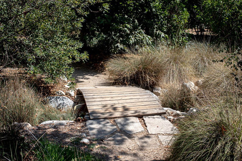 Bridge