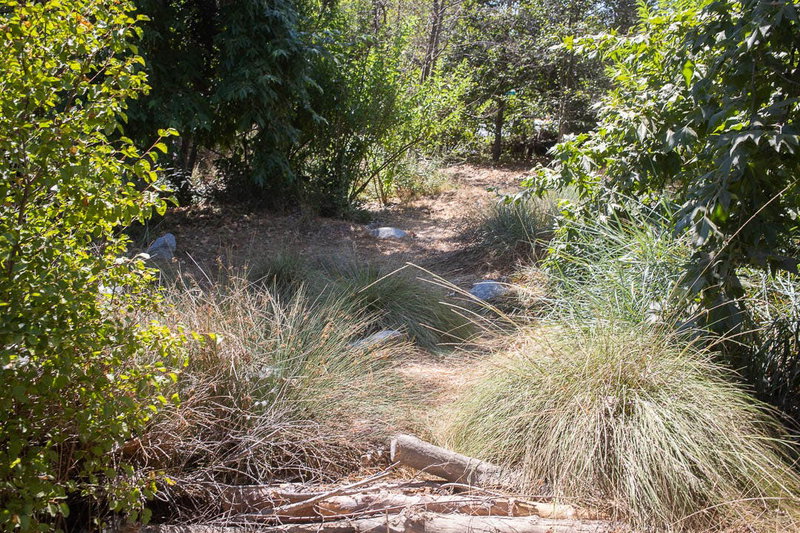 Vernal pools