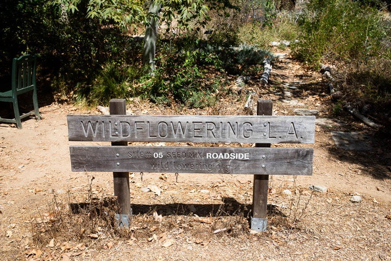 WildfloweringLA Marker