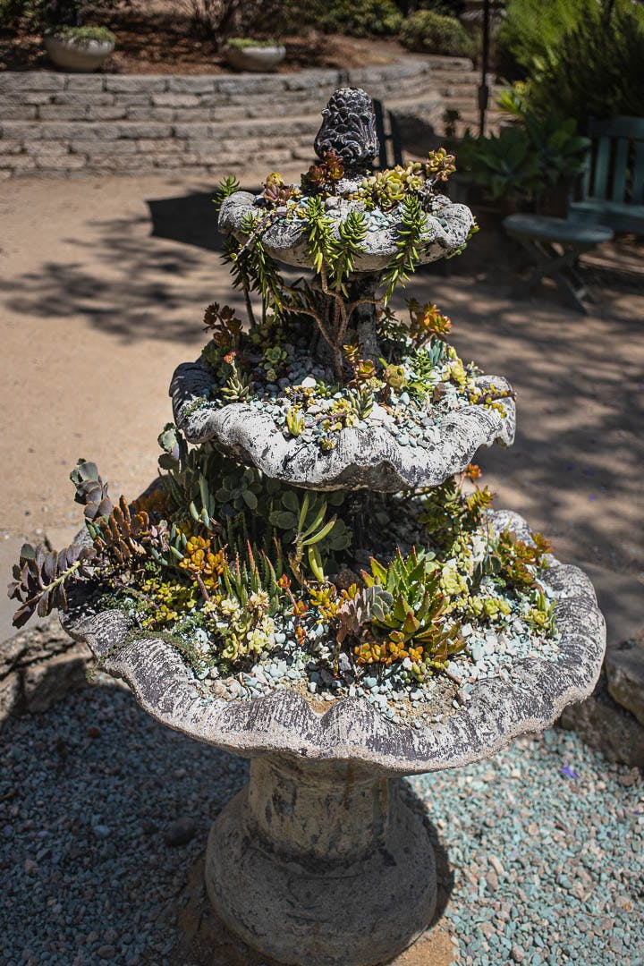 Succulent Fountain