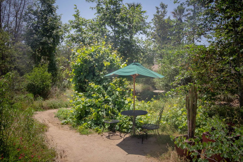 Picnic Table in a scenic location