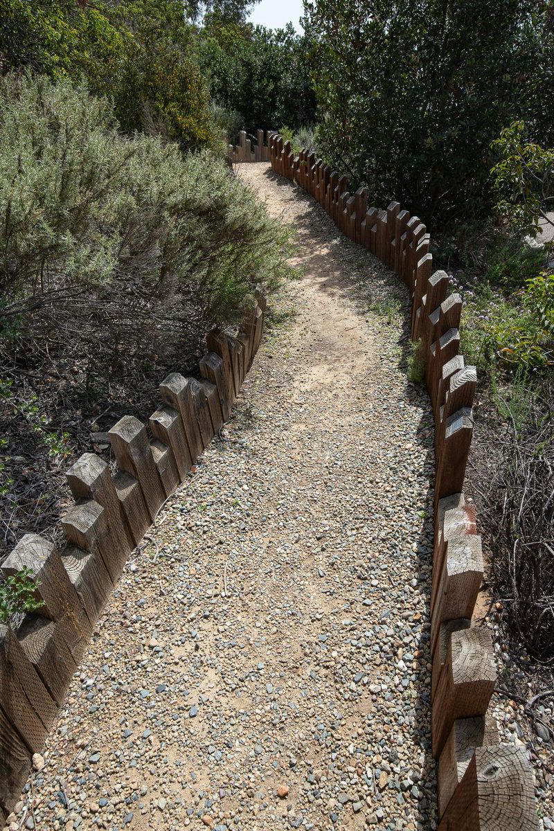 Wood Lined Path