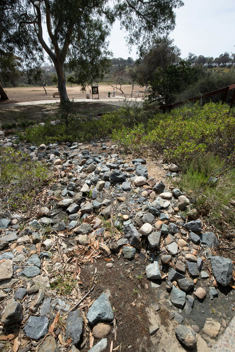Bioswale with Dog Park in background