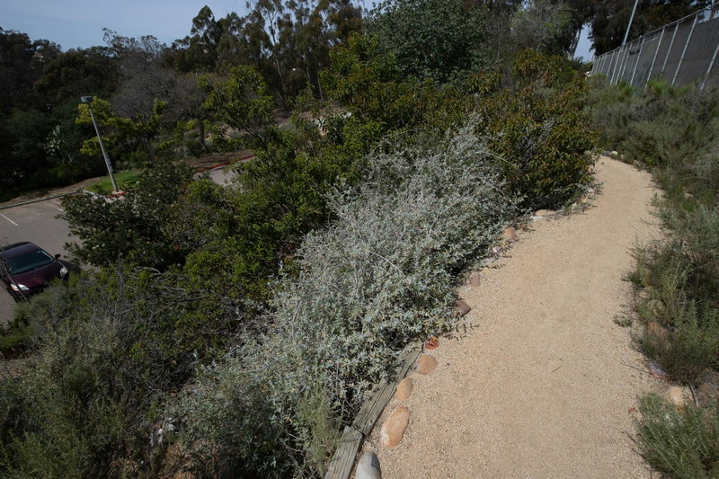 Path