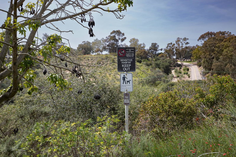 Nature preserve across from Native Garden