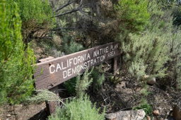 Balboa Park Native Plant Demonstration Garden