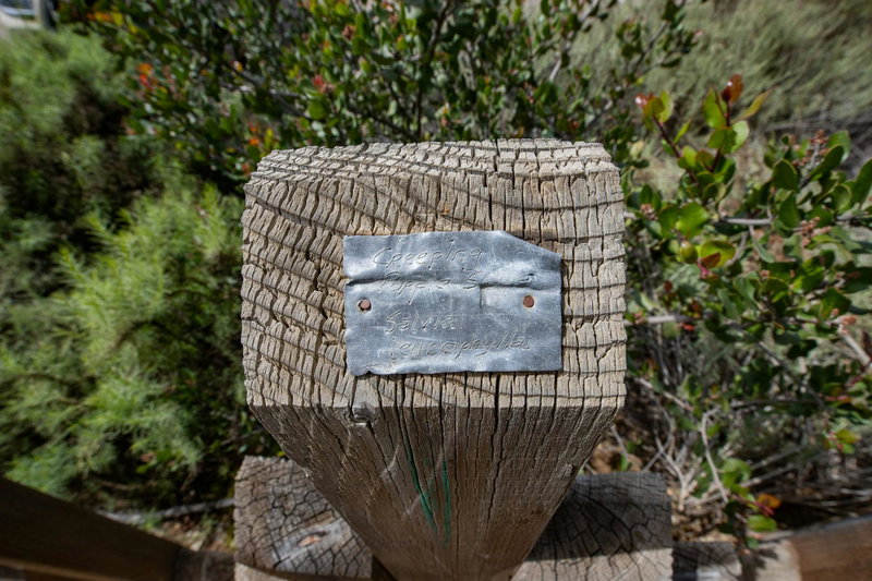 Plant Marker