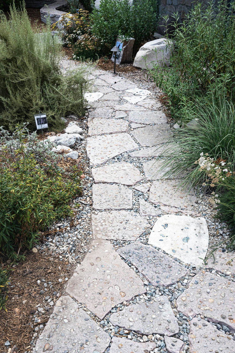 Repurposed Concrete Path