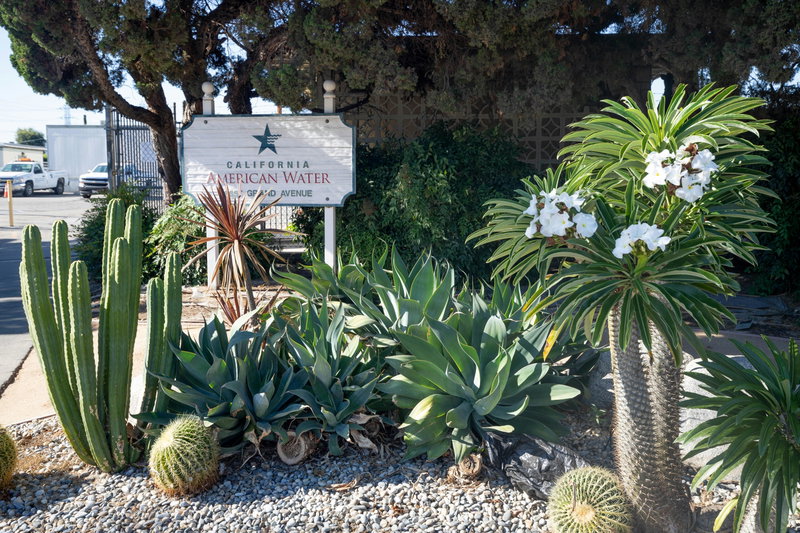 Cactus Garden at California American Water Signage