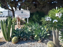 Rosemead Chamber of Commerce