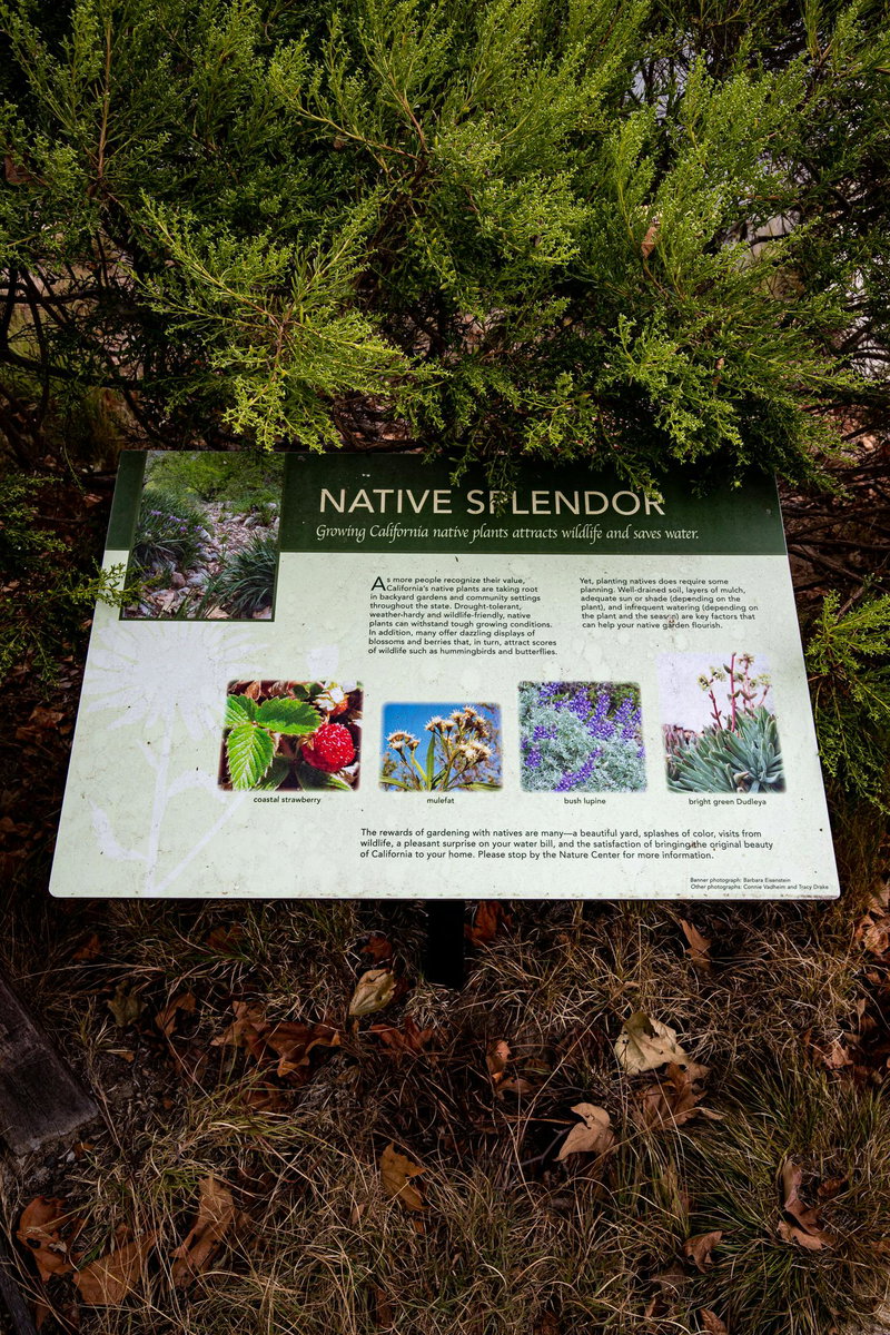 Signage Describing Some of the Plants