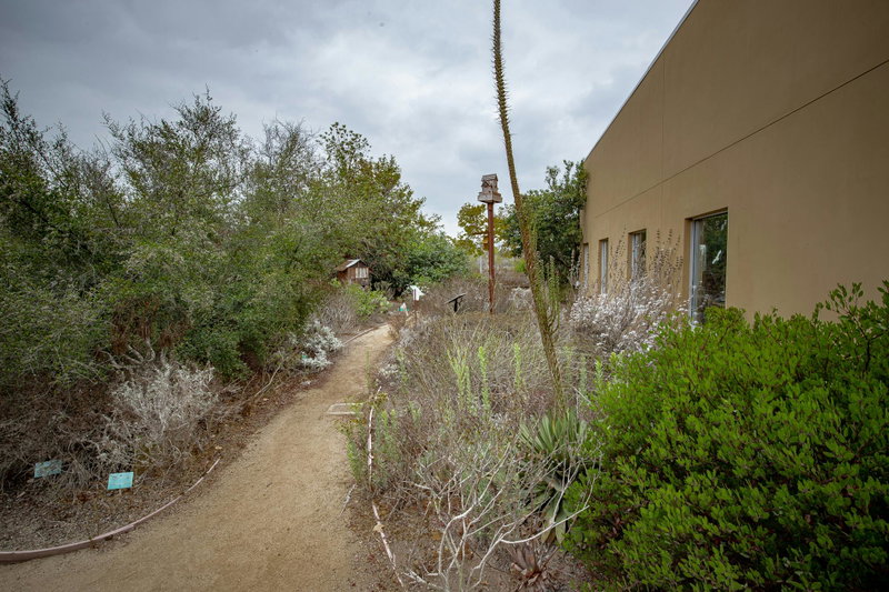 A Welcoming Path