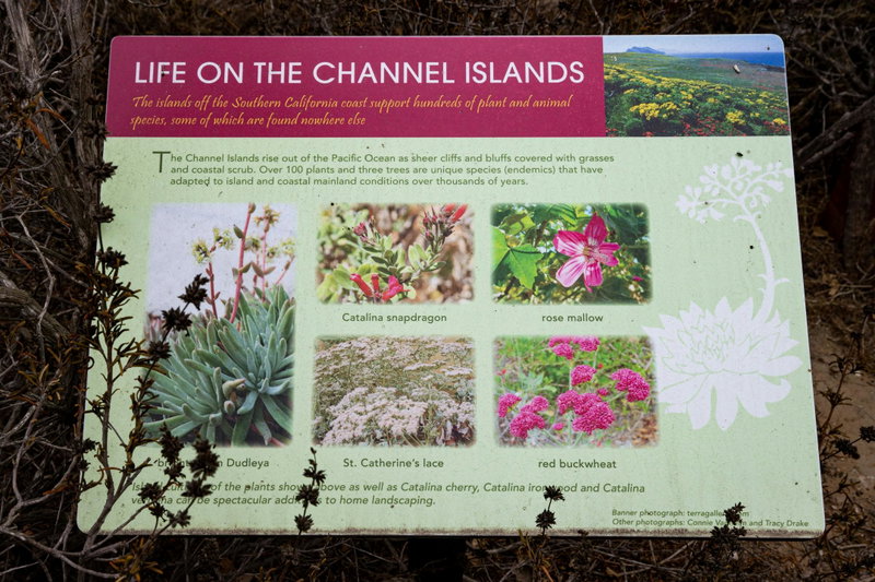 Signage Describing Some Channel Island Plants