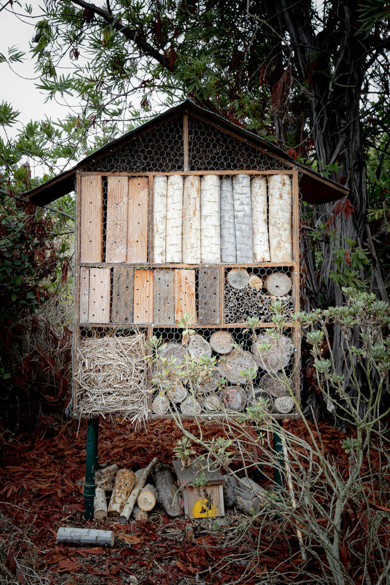 Pollinator House