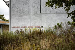 Madrona Marsh Nature Center
