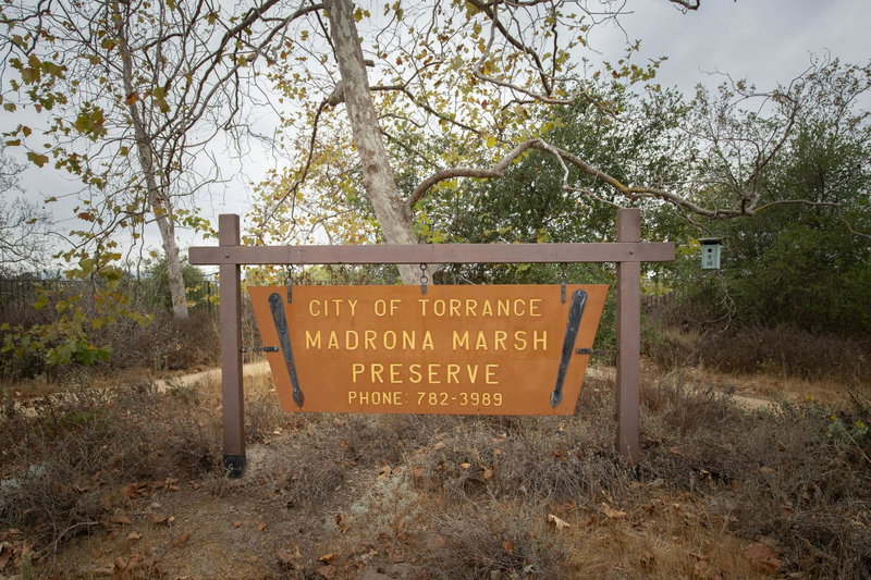 Madrona Marsh Preserve
