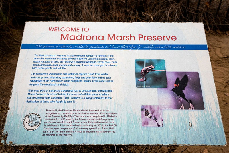 Madrona Marsh Preserve