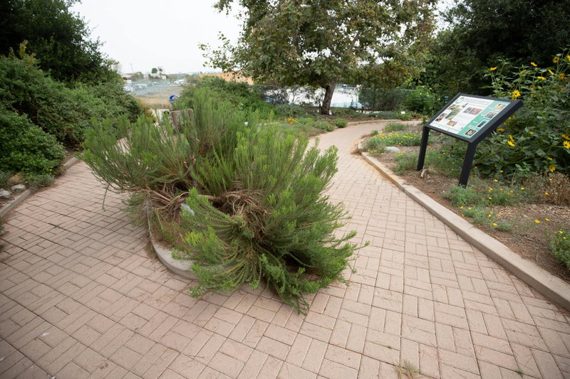 Winding Brick Pathway