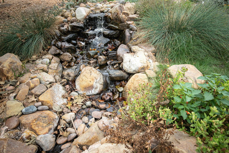Water fountain