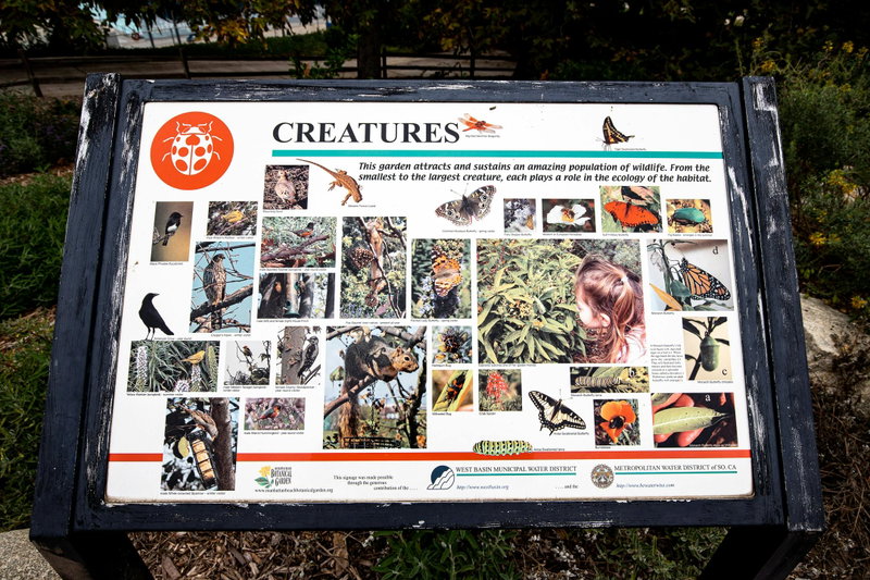 Critters found in this native garden