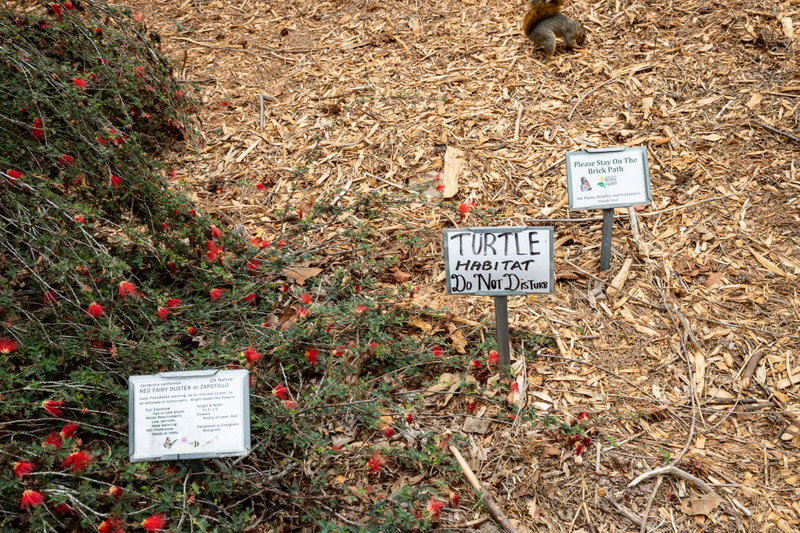Turtle Habitat