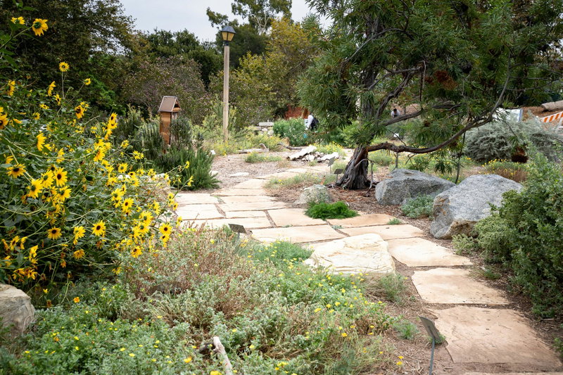 Flagstone pathway