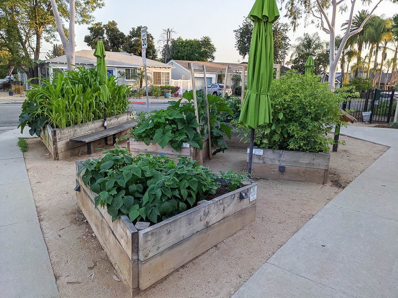 Raised beds
