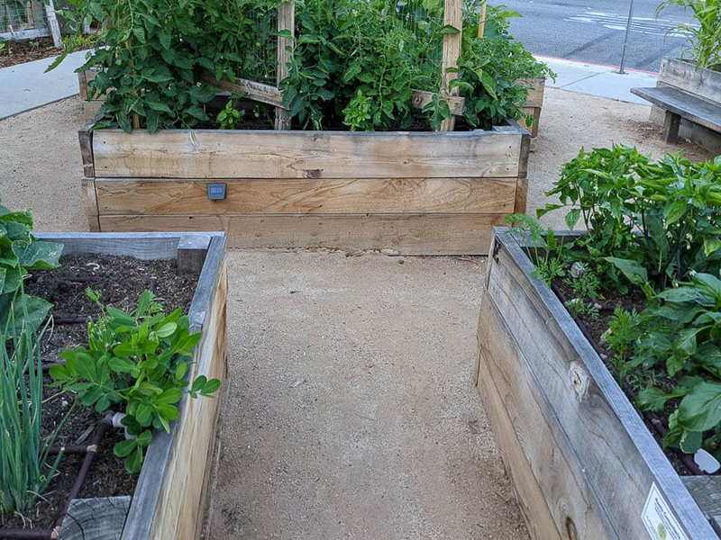 Raised beds