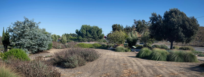 California Native Section