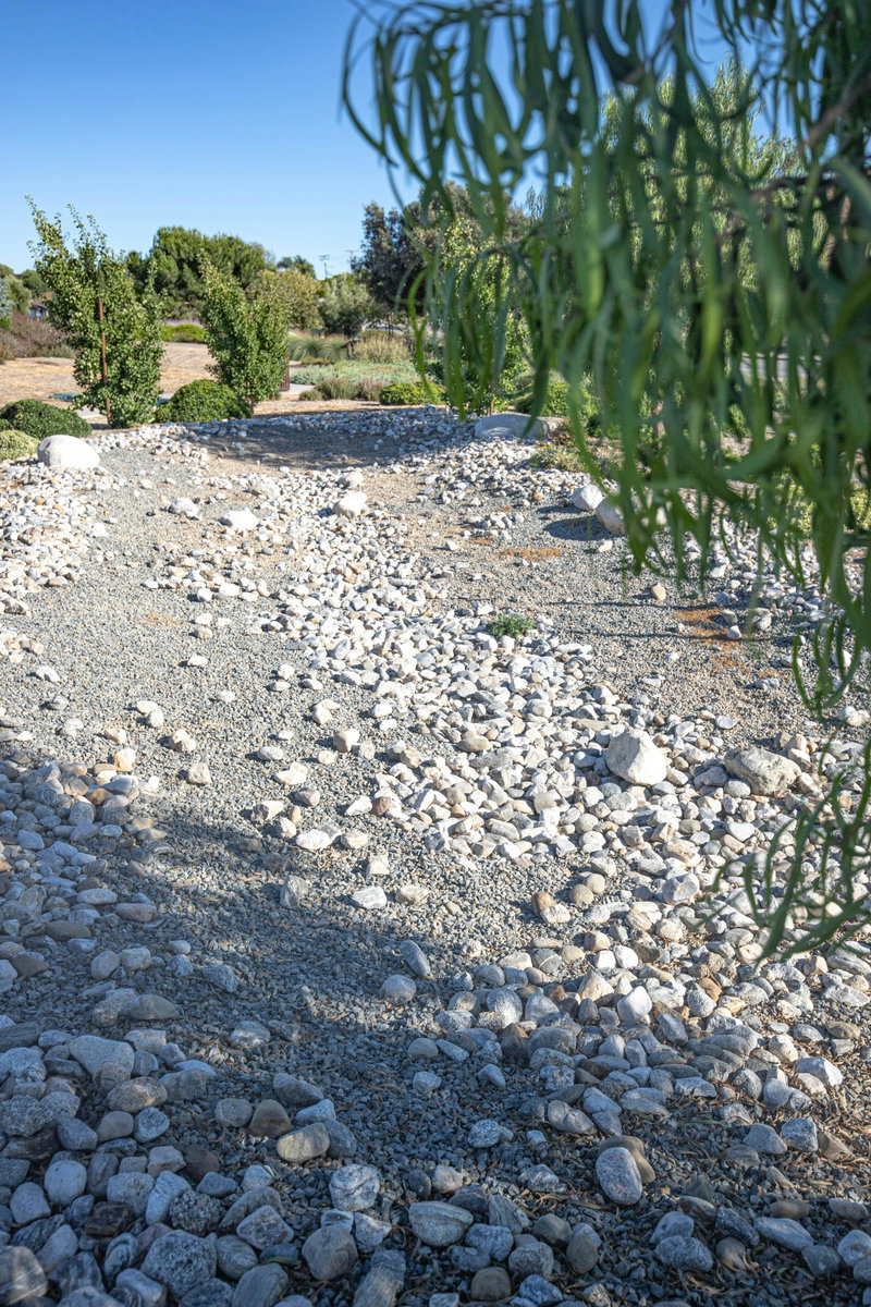 Bioswale