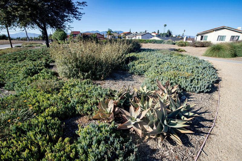 Monterey Park Demonstration Garden
