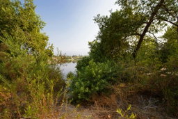 Peck Road Water Conservation Park