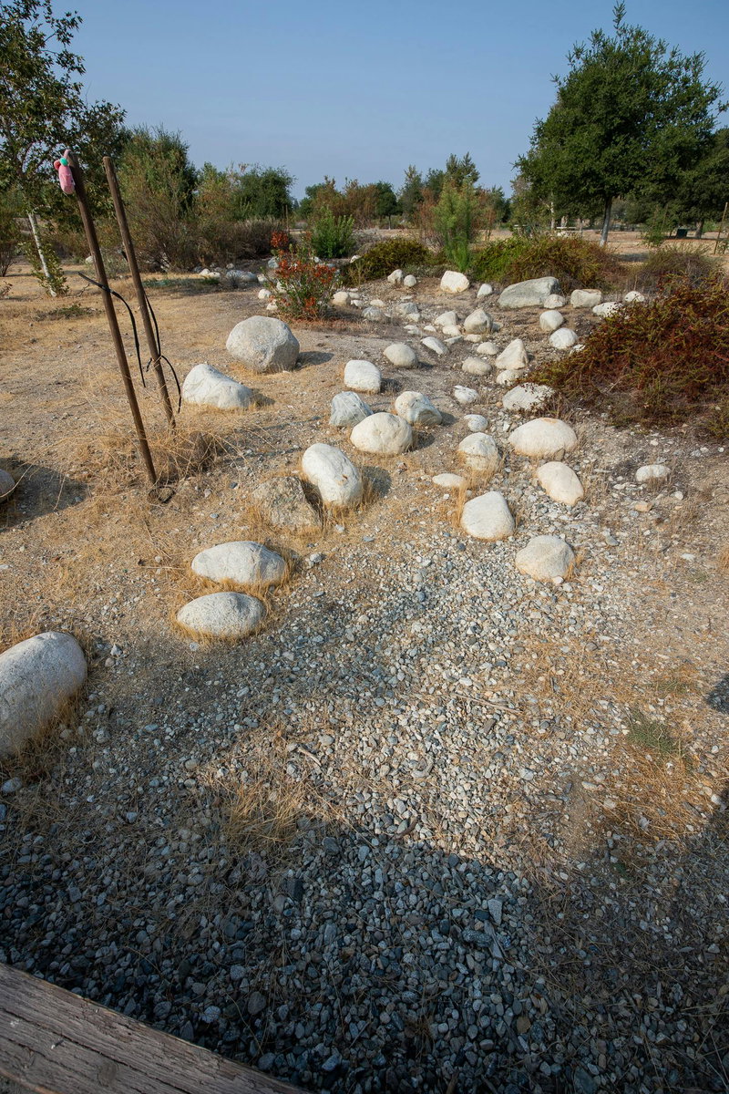 Bioswale
