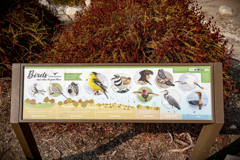 Bird Signage