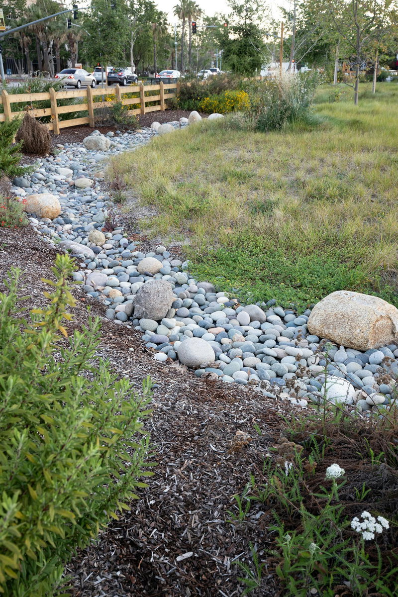 Bioswale