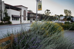 San Diego’s Old Town Native Demonstration Garden