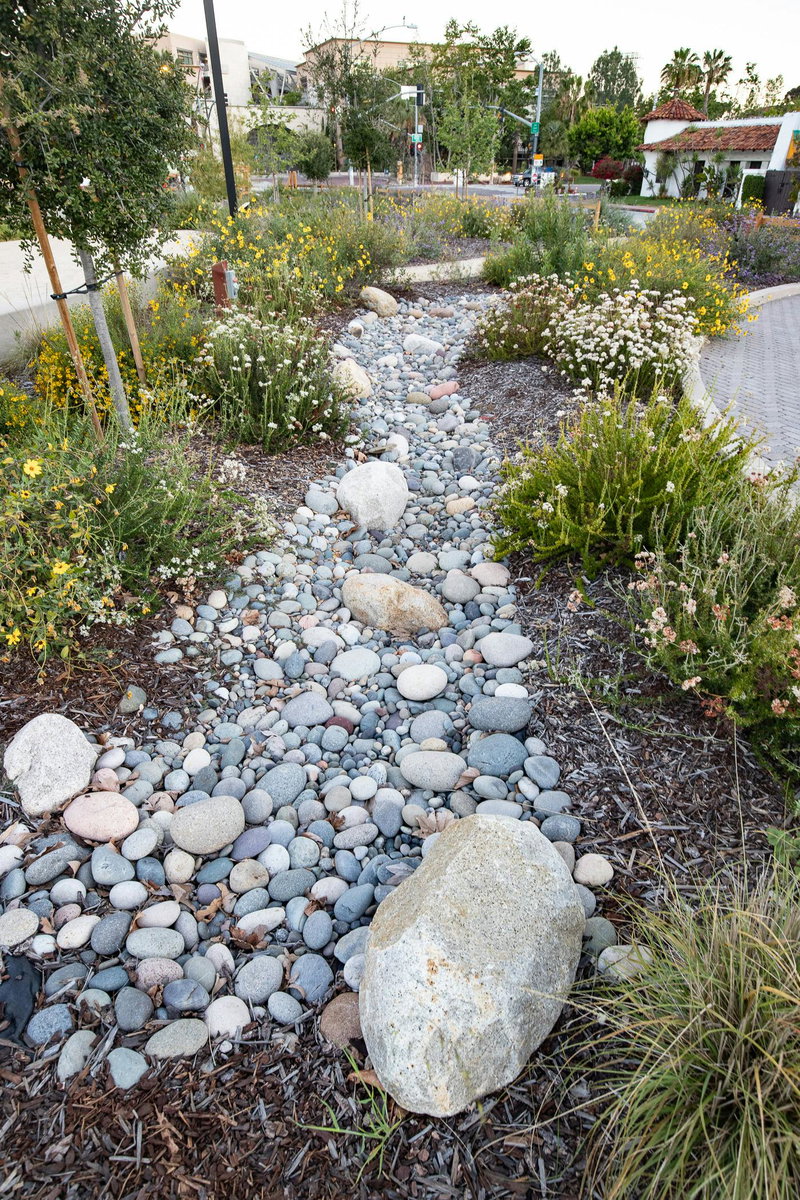 Bioswale