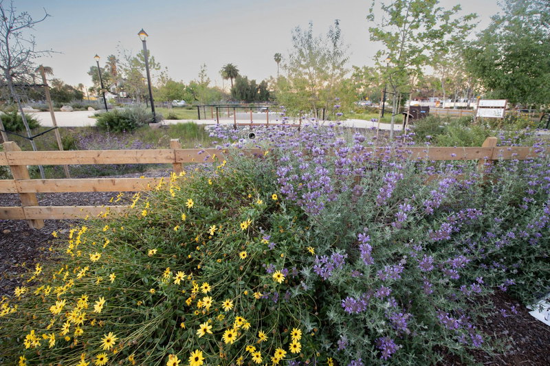 San Diego’s Old Town Native Demonstration Garden