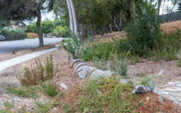 Community Demonstration Garden at Sheldon Reservoir