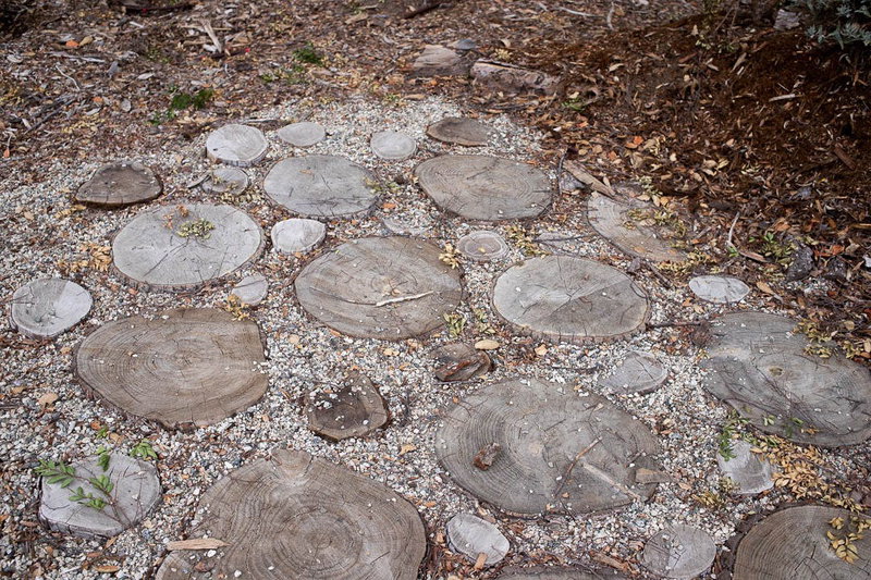 Walkway of Tree Trunks