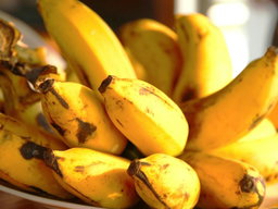How to Grow Bananas