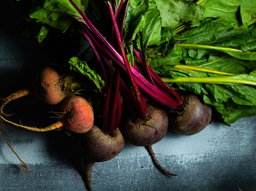How to Grow Beets