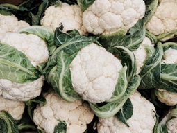 How to Grow Cauliflower