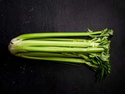 How to Grow Celery