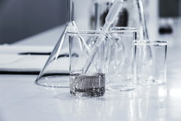pH Testing Your Soil