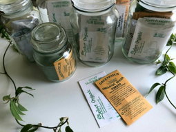 Online Plant and Seed Shopping