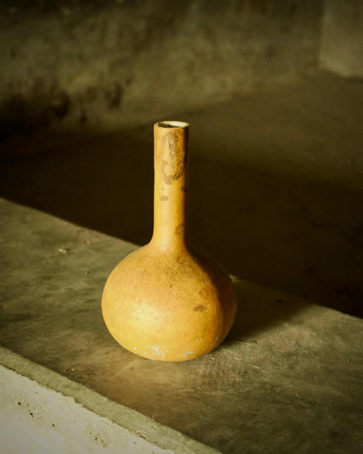 Bottle gourd, dried and being used as a pot.