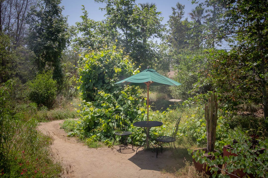 Picnic Table in a scenic location
