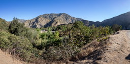 Canyon Landscape Above the Trail